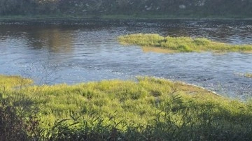 Canbolu Deresi’nde acı oyun: 10 yaşındaki Hızır Ali hayatını kaybetti