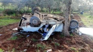 &Ccedil;arpışan kamyonet ile otomobil zeytinliğe u&ccedil;tu: 8 yaralı