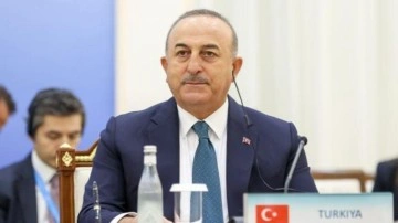 &Ccedil;avuşoğlu: Asya yeniden &ouml;ne &ccedil;ıkıyor