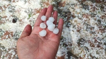 Ceviz büyüklüğünde dolu yağdı!