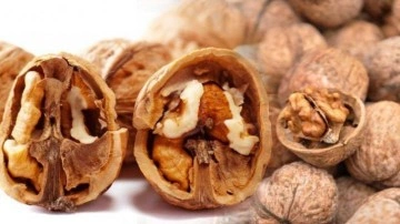 Ceviz i&ccedil; perdesi suyu faydaları nelerdir? Ceviz i&ccedil; kabuğu k&uuml;r&uuml; tarifi...