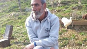 Ceviz toplamak i&ccedil;in &ccedil;ıktığı ağa&ccedil;tan d&uuml;ş&uuml;p &ouml;ld&uuml;