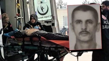 Ceviz topluyordu, hayatını kaybetti!