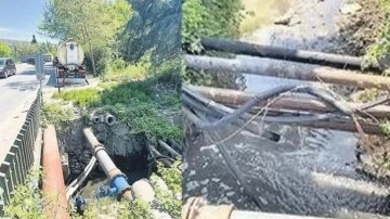 CHP'li İBB'den bir çevre katliamı daha! Foseptik suları dereye akıtıldı!