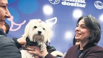 CHP'li Sinem Dedetaş'ın belediye imkanlarıyla k&ouml;peğine yaptığı masraf tepki &ccedil;ekti