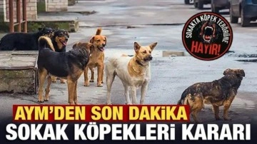 CHP'nin sokak köpeklerine yönelik yasayı iptal başvurusuna AYM'den son dakika kararı
