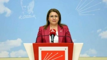 CHP'den yıkım vaadi: N&uuml;kleer enerji santrallerini iptal edeceğiz