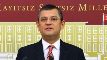 CHP'li &Ouml;zg&uuml;r &Ouml;zel'den Man adası belgeleriyle ilgili Erdoğan'a &ccedil;ağrı