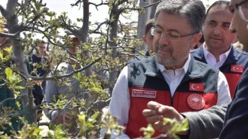 Çiftçilere 3 milyar 305 milyon TL'lik destekleme ödemeleri hesaplara aktarılıyor