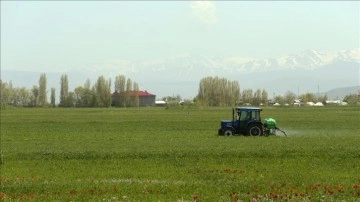 Çiftçilere 945 milyon lira tarımsal destekleme ödemesi yapılacak