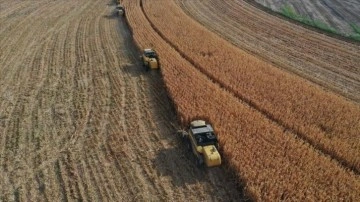 Çiftçilere, tarımsal destek ödemesi bugün yapılacak