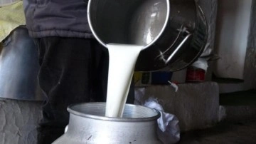Çiğ süt fiyatları belli oldu!