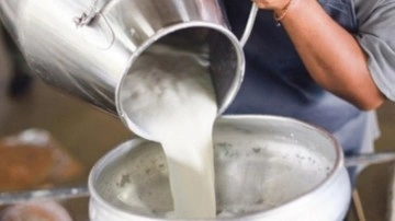 Çiğ süt referans fiyatına yüzde 6,81 zam