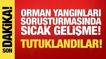 Ciğerlerimiz yanıyor! jandarma yakaladı... 3 kişi tutuklandı