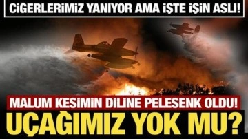 Ciğerlerimiz yanıyor! Malum kesimin diline pelesenk oldu! Uçağımız yok mu?