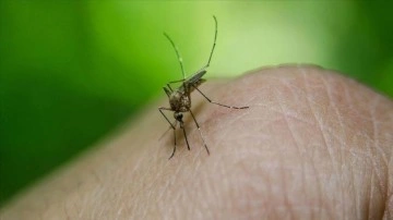 Çin'de virüs paniği büyüyor: 4 binden fazla kişiye bulaştı