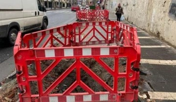 &Ccedil;ırağan Caddesinde kesilen 112 ağa&ccedil; i&ccedil;in İBB'ye ceza verildi