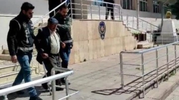 &Ccedil;&ouml;kertilen &ccedil;etenin 82 yaşındaki lideri, bastonuyla adliyeye getirildi