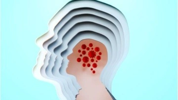 Covid-19: Bilim insanları vir&uuml;s&uuml;n beyinde k&uuml;&ccedil;&uuml;lmeye yol a&ccedil;abileceğini ortaya koydu