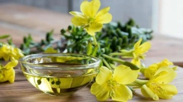 &Ccedil;uha &ccedil;i&ccedil;eği faydaları ve zararları nelerdir? Gece &ccedil;uha &ccedil;i&ccedil;eği yağı cilde faydaları&hellip;