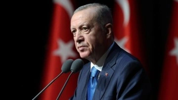 Cumhurbaşkanı Erdoğan, 5 ülkenin büyükelçisini kabul etti