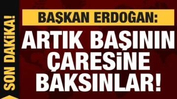 Cumhurbaşkanı Erdoğan: Artık başının &ccedil;aresine baksınlar