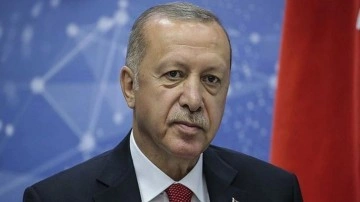 Cumhurbaşkanı Erdoğan, Avrupa şampiyonu olan g&uuml;reş&ccedil;ileri tebrik etti