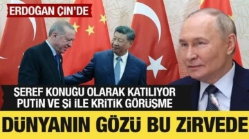 Cumhurbaşkanı Erdoğan, Çin'de: Çin Devlet Başkanı Şi ile görüştü