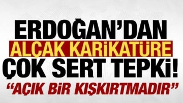 Cumhurbaşkanı Erdoğan'dan alçak karikatüre sert tepki: Açık bir kışkırtmadır!