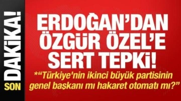 Cumhurbaşkanı Erdoğan'dan Özgür Özel'e: Genel başkan mı hakaret otomatı mı belli değil