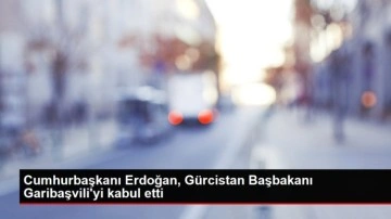 Cumhurbaşkanı Erdoğan, G&uuml;rcistan Başbakanı Garibaşvili'yi kabul etti