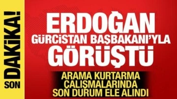 Cumhurbaşkanı Erdoğan, Gürcistan Başbakanı ile görüştü