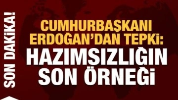 Cumhurbaşkanı Erdoğan: Hazımsızlıkları ilk değil son &ouml;rneği