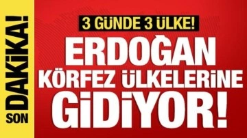 Cumhurbaşkanı Erdoğan körfez ülkelerine gidiyor!