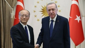 Cumhurbaşkanı Erdoğan, Masato Kanda'yı kabul etti