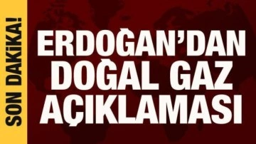 Cumhurbaşkanı Erdoğan'dan doğal gaz a&ccedil;ıklaması
