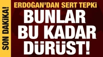 Cumhurbaşkanı Erdoğan'dan muhalefete baş&ouml;rt&uuml;s&uuml; tepkisi