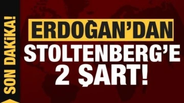 Cumhurbaşkanı Erdoğan'dan Stoltenberg'e İsve&ccedil; ve Finlandiya şartı