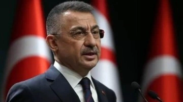 Cumhurbaşkanı Yardımcısı Oktay'dan Anneler G&uuml;n&uuml; mesajı