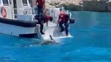 Dalış sırasında boğuldu