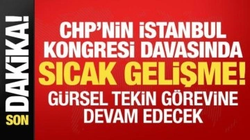 Dava ertelendi: Gürsel Tekin göreve devam edecek!