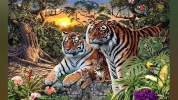 Dedektif olacağınız zeka testi: Ormandaki 16 kaplanı 21 saniyede g&ouml;rebilen %4&rsquo;l&uuml;k dilime giriyor!