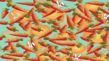 Dedektifler iş başına: 5 saniyede havu&ccedil;lar arasına gizlenen kalemi bul!