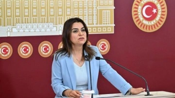 DEM'li Ko&ccedil;yiğit: "Silahların susması bir sonu&ccedil; değil, başlangı&ccedil;tır"