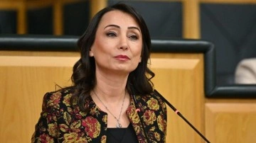 DEM Parti'den açıklama: Suriye ile de yapmak zorundayız