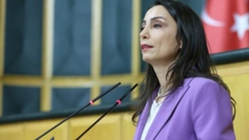 DEM Parti'den MHP lideri Devlet Bahçeli'ye parlamento yanıtı
