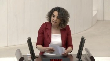 DEM Partili vekilden ‘LGBT’lilerin hormon ilaçlarını devlet karşılasın’ çağrısı