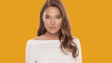 Demet Akalın'ı &ccedil;ıldırtan olay! &Ouml;nce hakaret sonra beddua etti