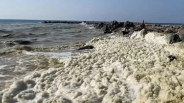 Deniz kenarında korkutan görüntü: Tüm yüzeyi kapladı, halk tedirgin!