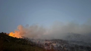 Denizli'deki orman yangını kontrol altına alındı